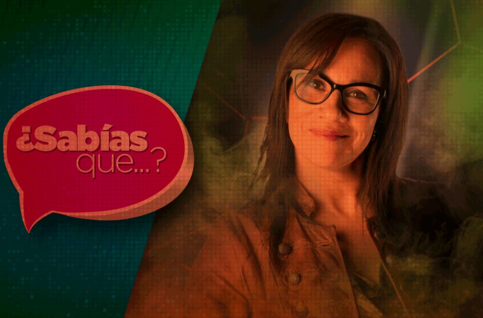 la academia app Guille