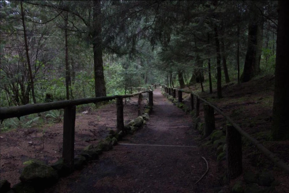 Desierto de los leones