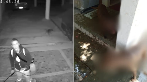 Extranjero-ataca-con-ácido-a-dos-perros-en-Oaxaca