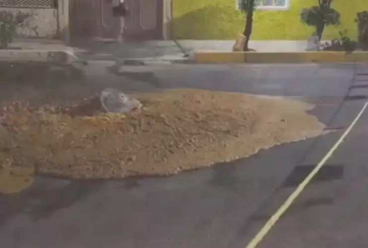 carne podrida nezahualcoyotl edomex coladera