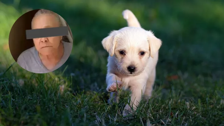 ¿Quién es la abuelita mataperros y cómo era su modus operandi?