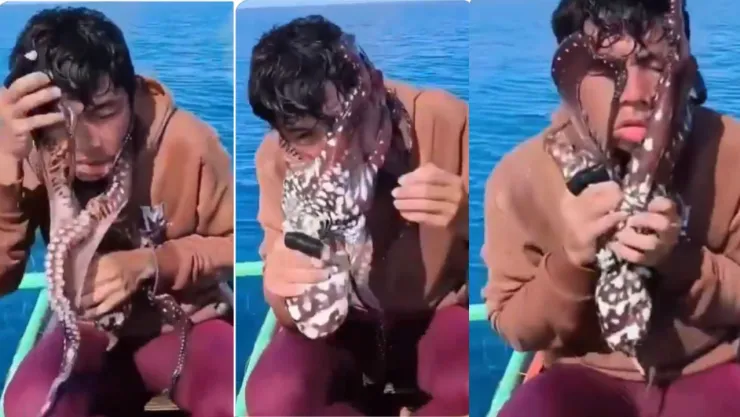 Pulpo se pega a la cara de un influencer filipino; así ocurrió el incidente