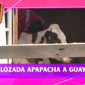 Fernando Lozada con Guayaba