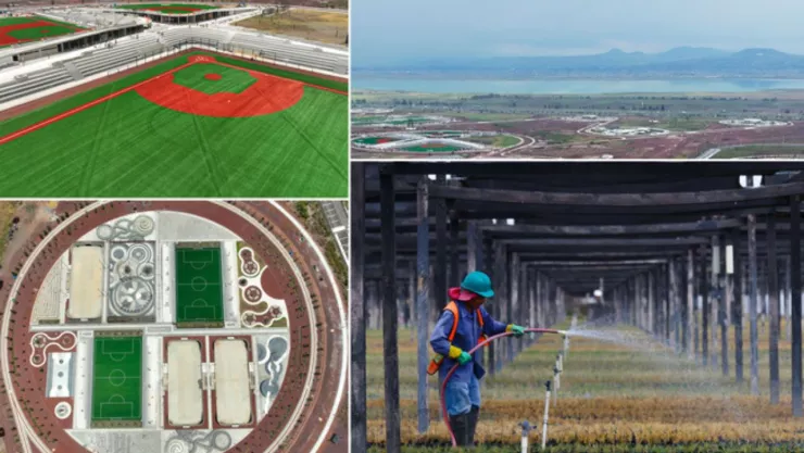 Parque Ecológico Lago de Texcoco, todo lo que debes saber