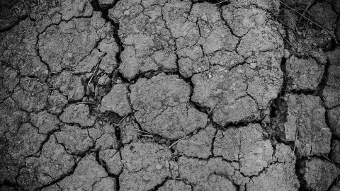 La mitad de México está en sequía; estos son los estados sin agua
