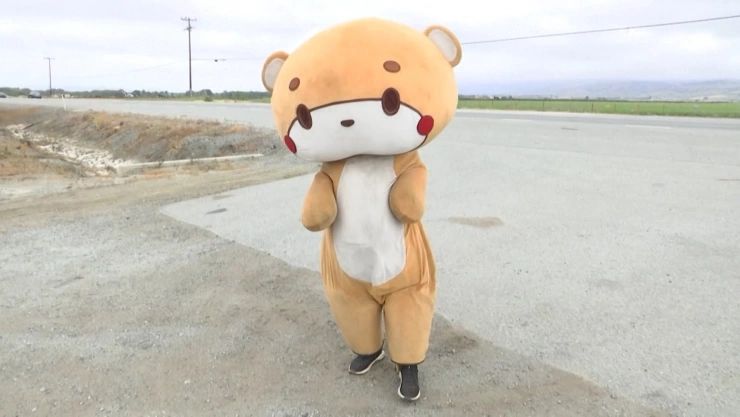 “Bearsun”, el oso que camina para recaudar fondos