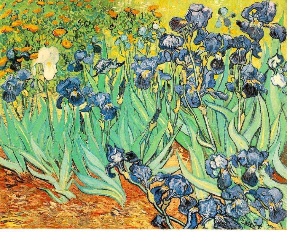 van gogh lily