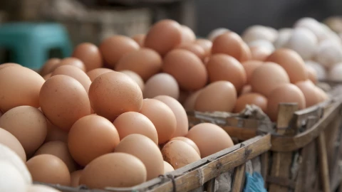 Este será el precio del huevo en México durante la tercera semana de junio de 2023, según el Sistema Nacional de Información e Integración de Mercados (SNIIM).