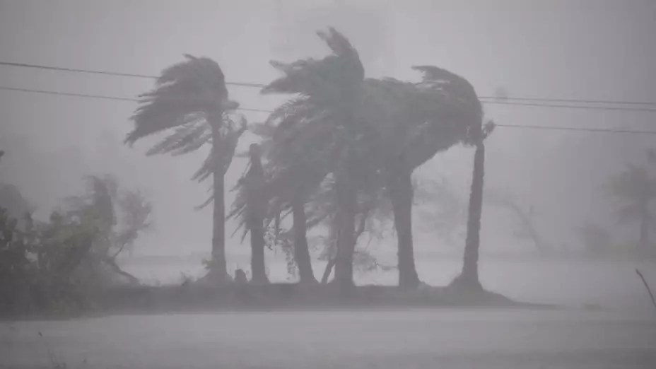Árboles azotados por viento y lluvia en Bengala Occidental, India.