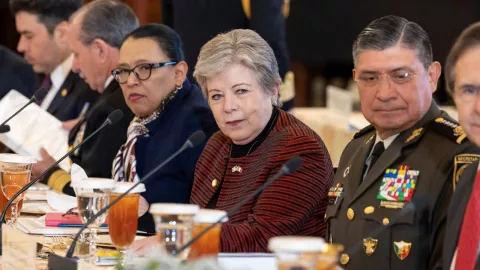 alicia barcena armas demanda méxico