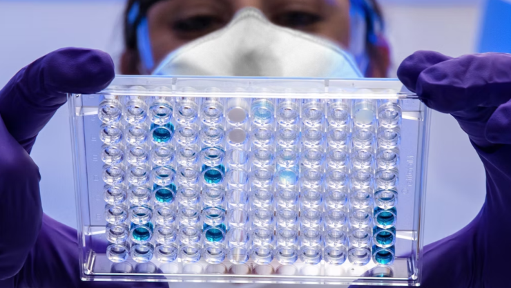 Lanzan advertencia por un virus poco conocido transmisible a humanos y sin cura 
