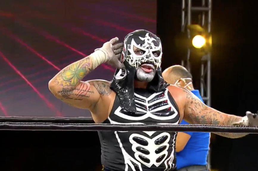 Lucha Fighter