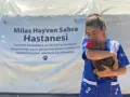 HAYTAP recoge a animales heridos por los incendios en Turquía