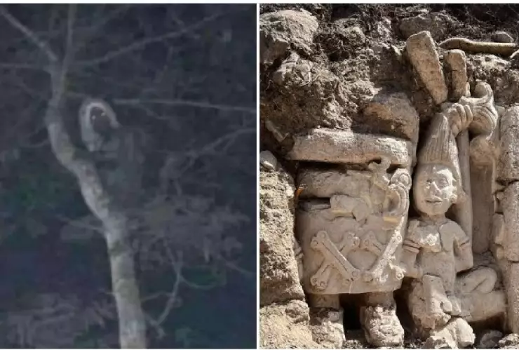 Captan aluxe en la zona arqueológica de Ek Balam y se viraliza (FOTO)