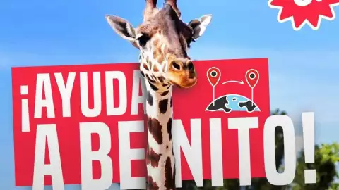 WhatsApp Image 2023-06-14 at 3.30.59 PM.jpeg