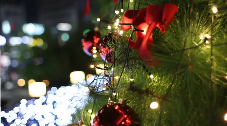 un arbolito de Navidad brilla en la noche