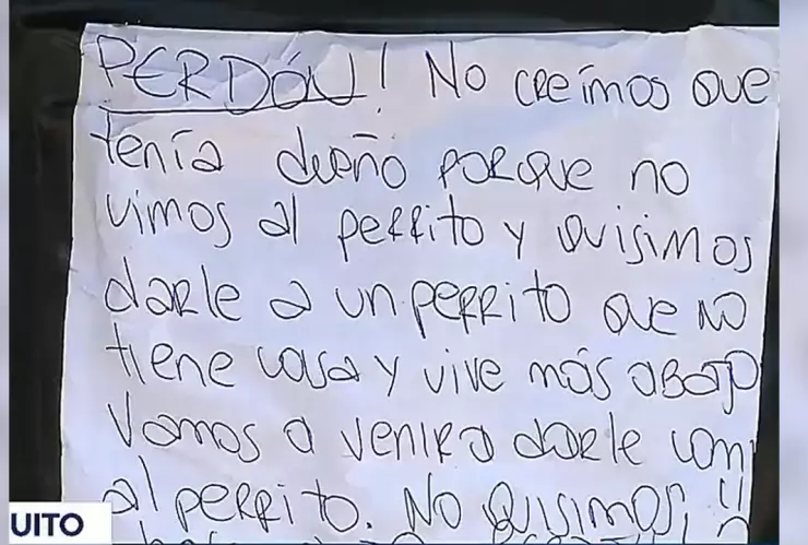 Carta a perrito