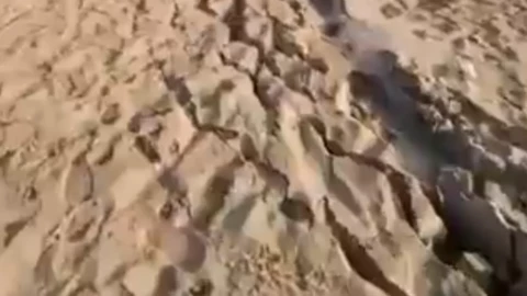 Se abrió la tierra tras el sismo de 6.5 en Guerrero.png