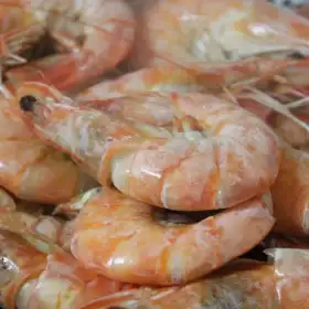 riesgos-comer-pescados-y-mariscos-temporada-calor.jpg