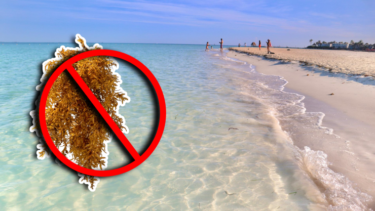 Estas son las playas sin sargazo en Cancún, Isla Mujeres, Holbox, Puerto Morelos, Playa del Carmen y Cozumel hoy 27 de septiembre de 2025.jpg