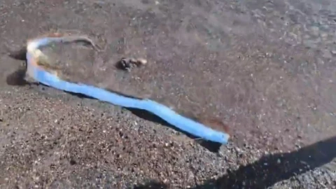 WhatsApp Image 2025-02-19 at 3.12.17 PM.jpeg