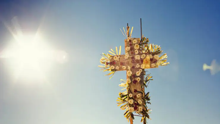 santa cruz
