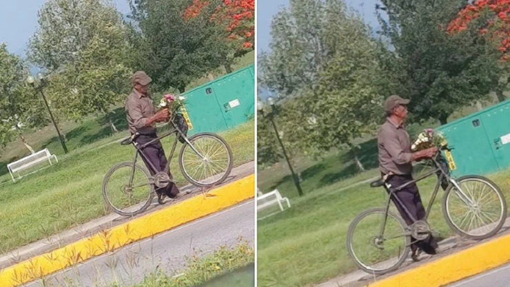 abuelito muerto flores esposa tumba 10 de mayo tamaulipas