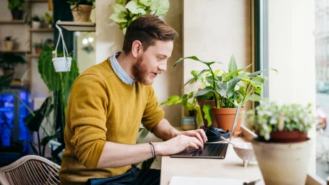 De esta manera puedes checar las placas de un auto en el Repuve