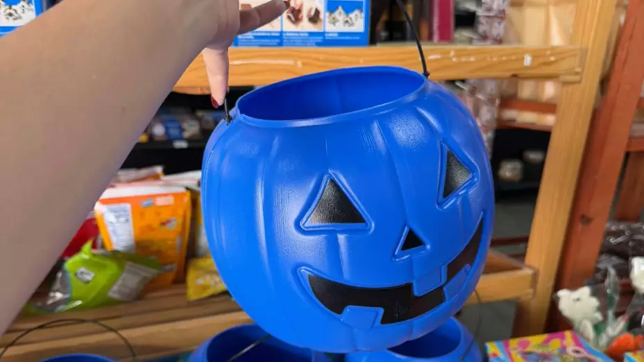 PORTADA calabazas azules en Halloween autismo.jpg