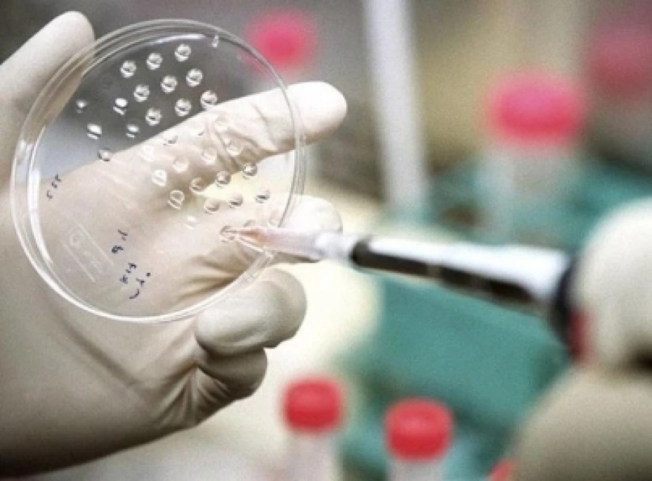 Inhibidor de cáncer