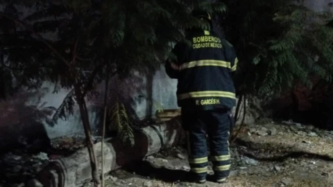Incendio en la Central de abasto