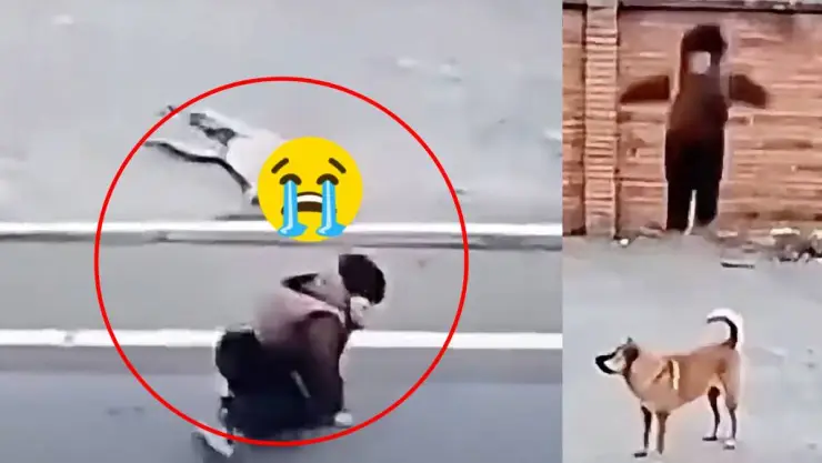 PORTADA niño perro.jpg