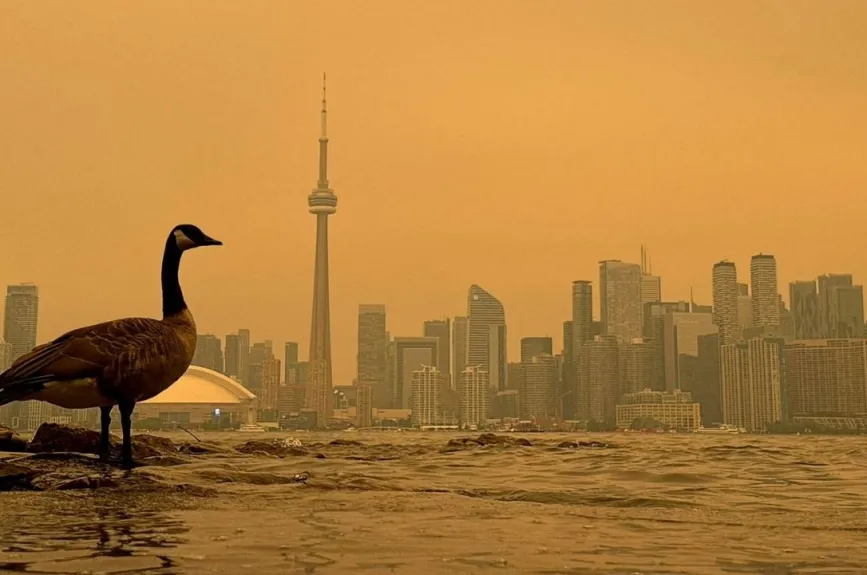 Incendios en Canadá ponen en riesgo a personas y animales