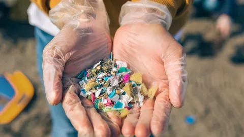 Hay alimentos que tienen mayor presencia de microplásticos en su composición: es fundamental detectarlos.