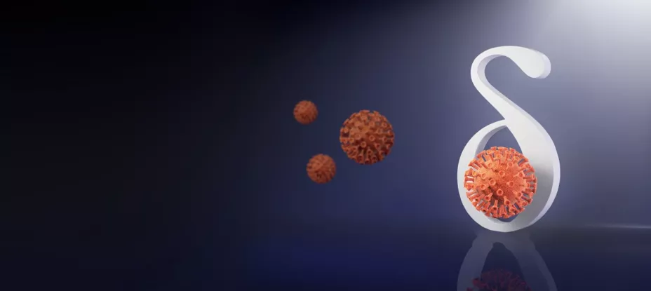 Variante Delta Flow.jpg