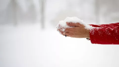 Cae primera nevada en Isla de Cedros
