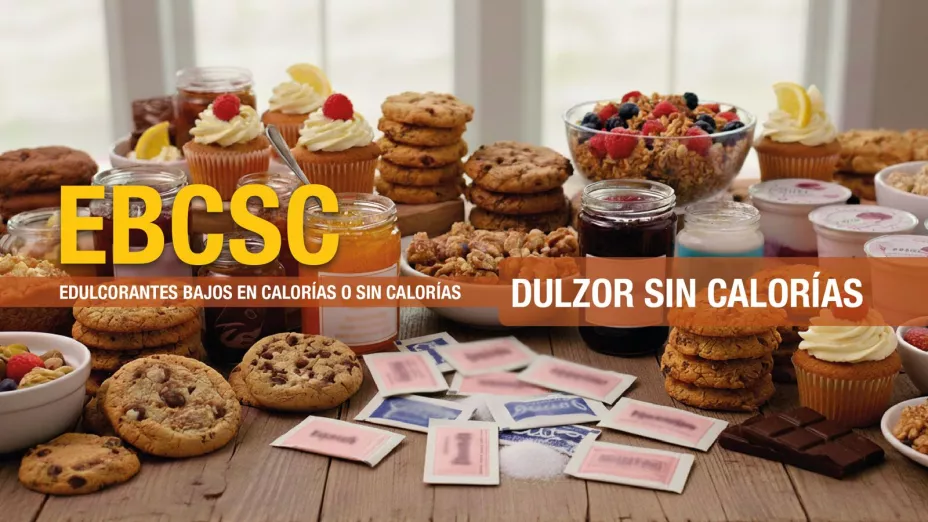 EBCSC.jpeg