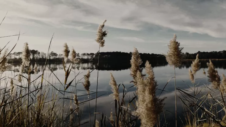 Niña muere ahogada en una presa