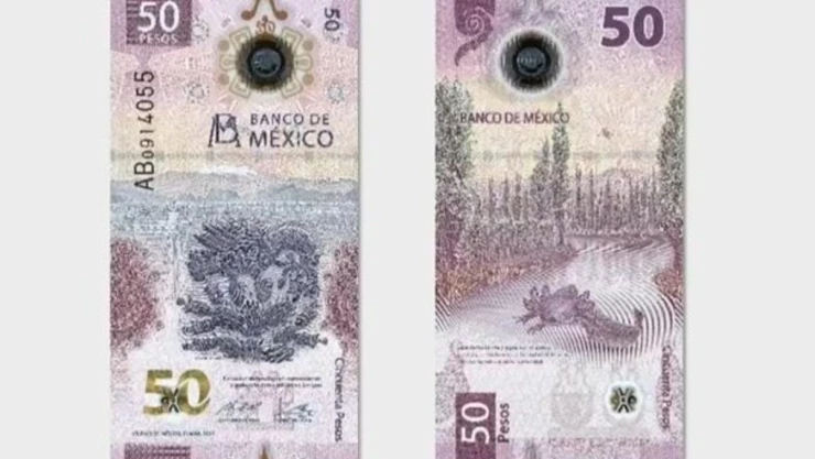 billete 50 pesos Banxico