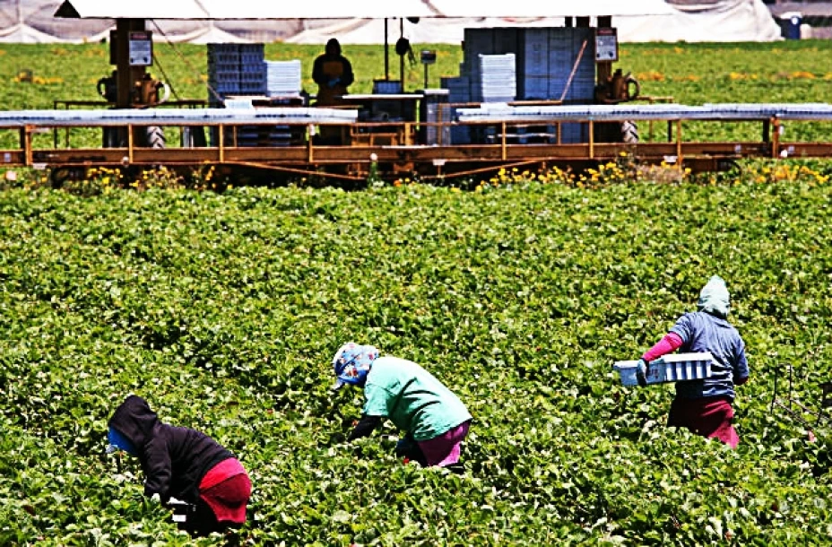 Se estima que en los próximos años 258,000 mexicanos emigrarán anualmente a los Estados Unidos.