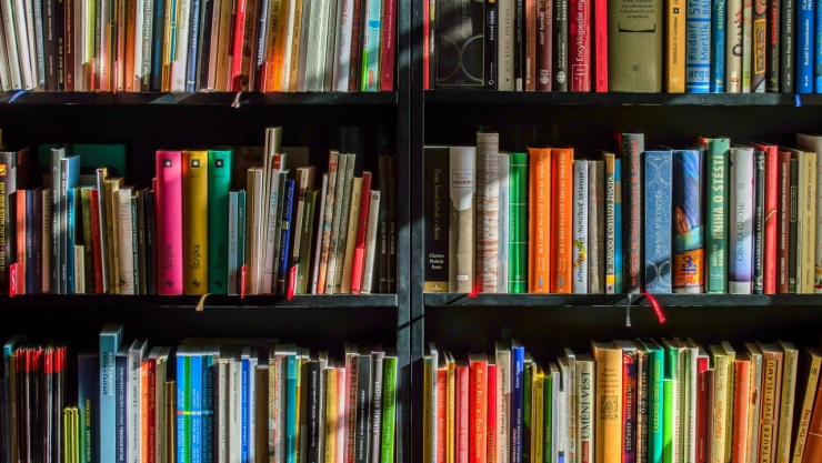 ¿Cuál es la pena por vender libros pirata en México? Todo sobre multas y sanciones