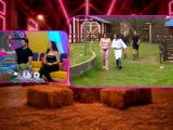 desmenuzando la granja.jpg