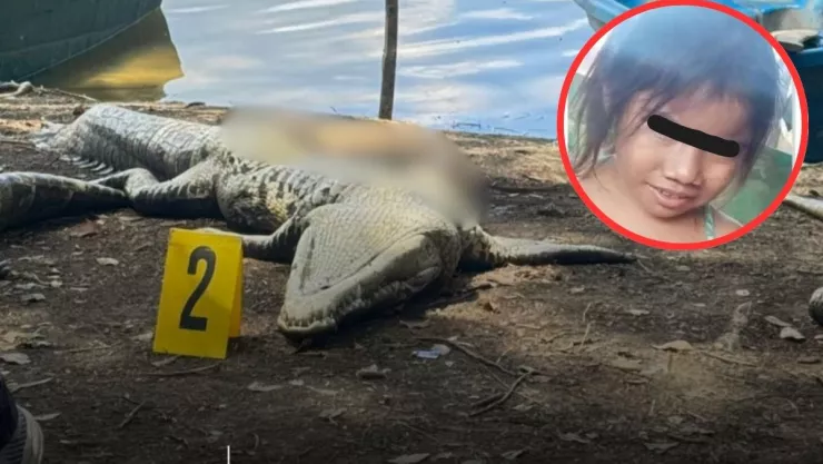 Niña devorada por cocodrilo en Guatemala