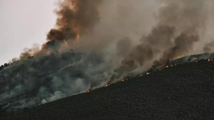 Incedio forestal.jpg