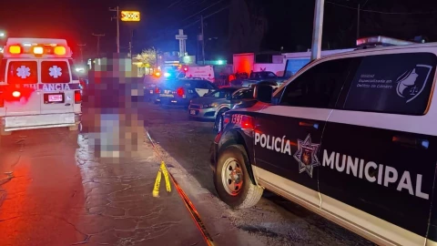 Ave Fénix Chihuahua.jpg