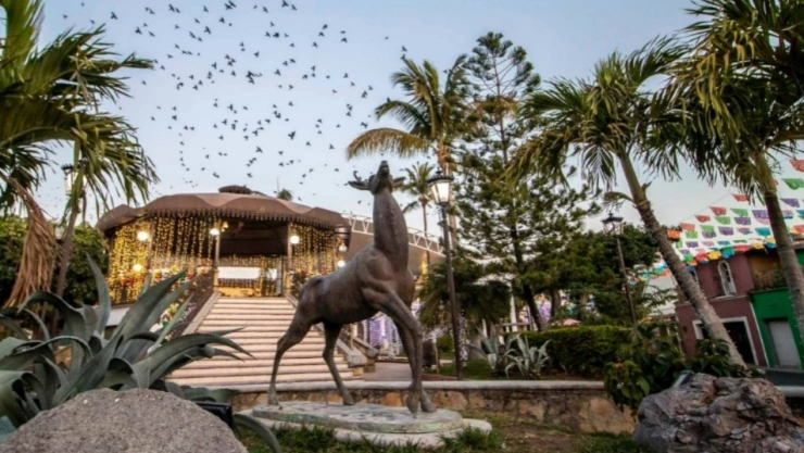 WhatsApp Image 2025-04-03 at 5.36.23 PM.jpeg