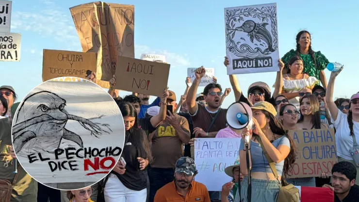 Mazatlecos se manifiestan contra la planta de amoníaco en Topolobampo, Ahome