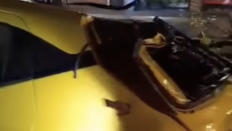 Auto dañado