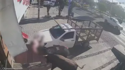 Captan en video el momento en el que toro embiste a seis personas en Querétaro