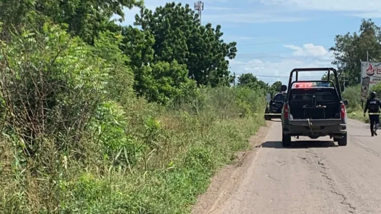Carros con restos humanos en Navolato